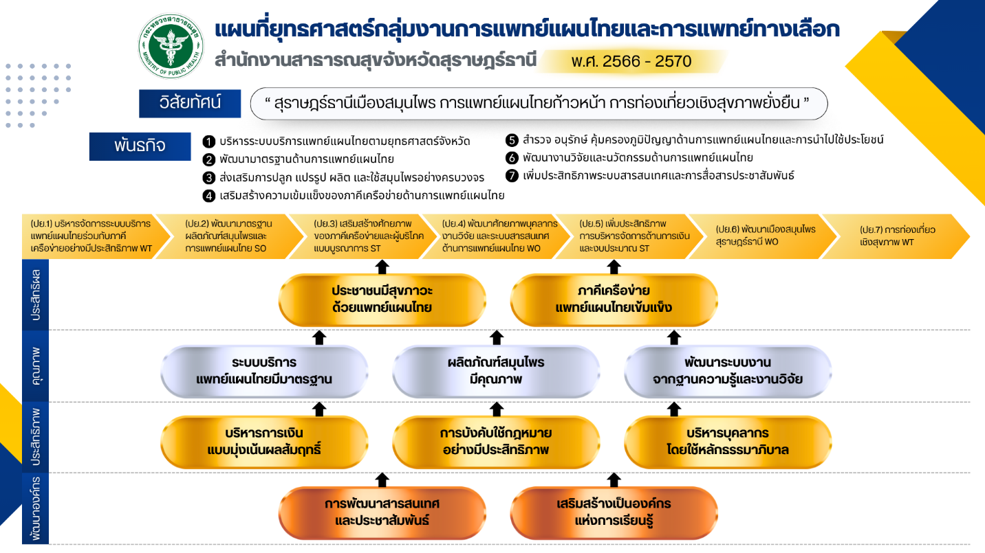 แผนยุทธศาสตร์